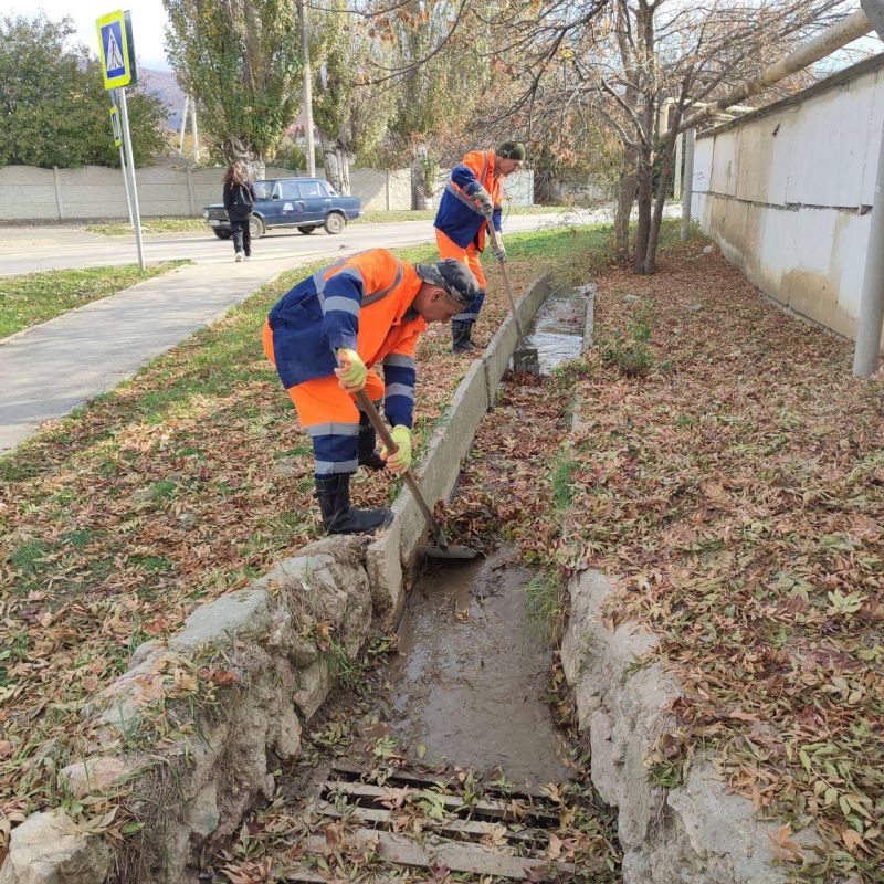 Работа «Водоканала» – от листьев регулярно очищаются дождеприемники и ливневые решетки Работа «Водоканала» – от листьев регулярно очищаются дождеприемники и ливневые решетки