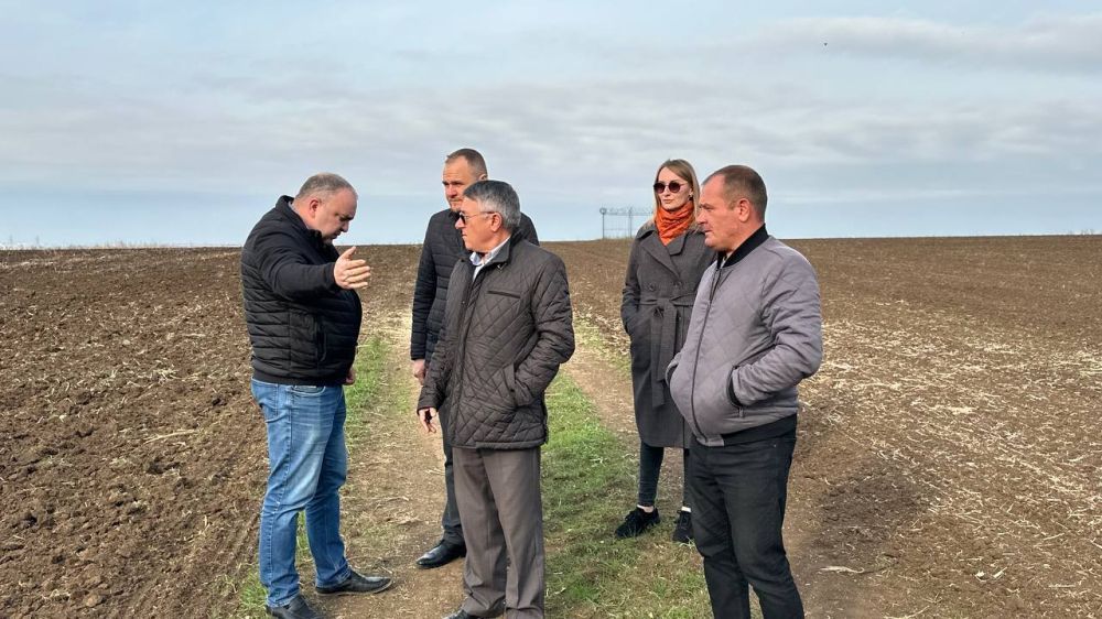 Министр сельского хозяйства Республики Крым посетил опытное поле на базе Института «Агротехнологическая академия» Крымского федерального университета им. В.И Министр сельского хозяйства Республики Крым посетил опытное поле на базе Института «Агротехнологическая академия» Крымского федерального университета им. В.И