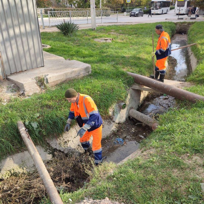 Работа «Водоканала» – от листьев регулярно очищаются дождеприемники и ливневые решетки Работа «Водоканала» – от листьев регулярно очищаются дождеприемники и ливневые решетки