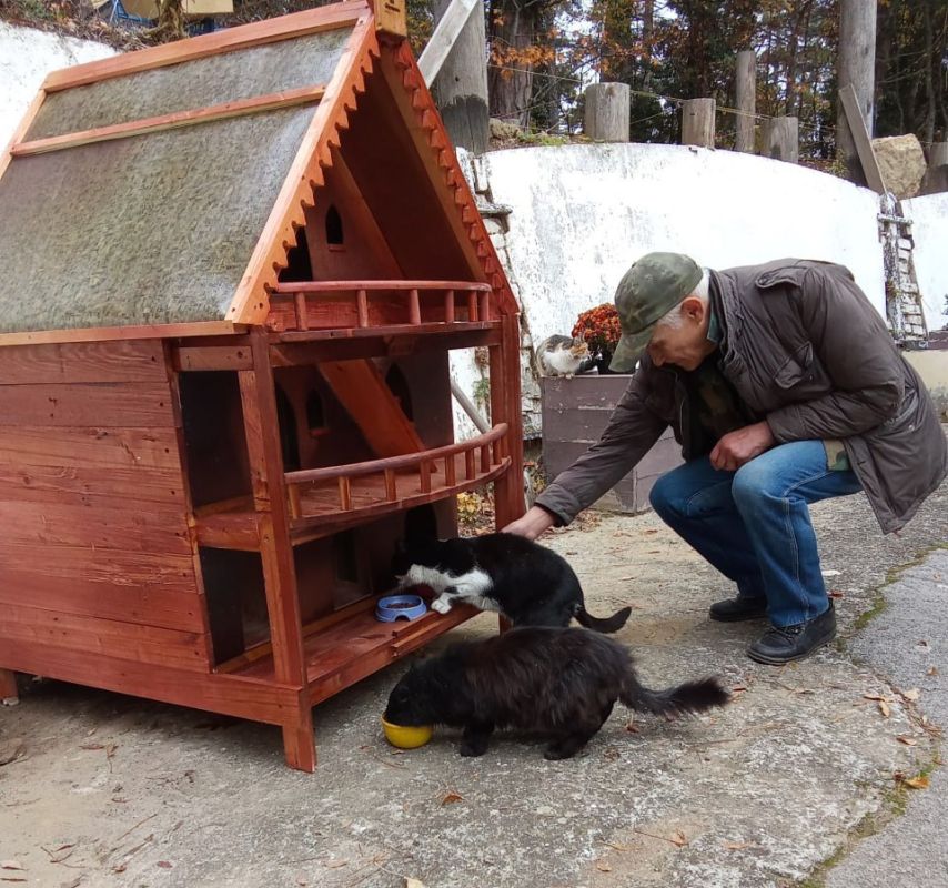 ����� ��������: ����������������� ������ ������� ��� �������� ������� � ��� ���� �����, ����� �� �����, ���������� � ������ (� ��������� ������)