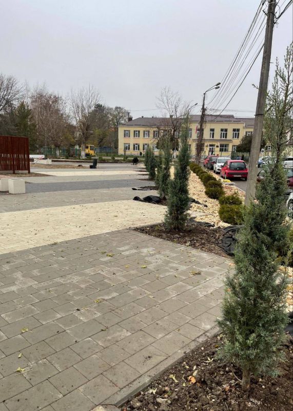Озеленение сквера в с. Перово Озеленение сквера в с. Перово