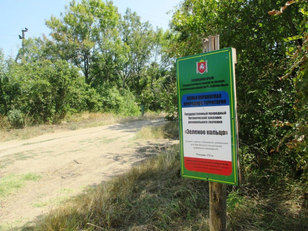 � ���� ���� ���������������� ���������� ��������� ������� ������ ����������� 44 ����