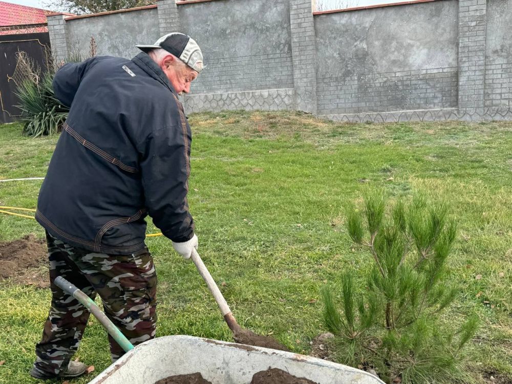 Александр Дудинов: Объединились чтобы озеленить родное село Александр Дудинов: Объединились чтобы озеленить родное село