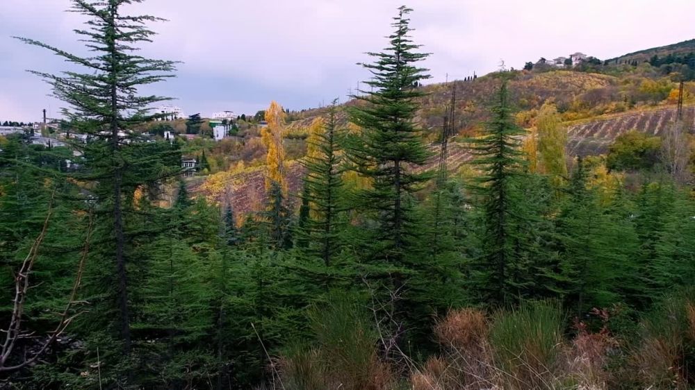 ����� ��������: ��������� ������� ����� � ������