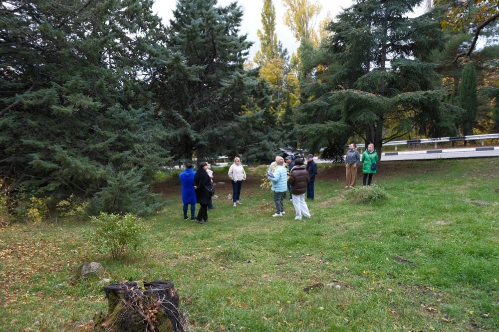 Новый парк появится на Южном берегу Крыма Новый парк появится на Южном берегу Крыма