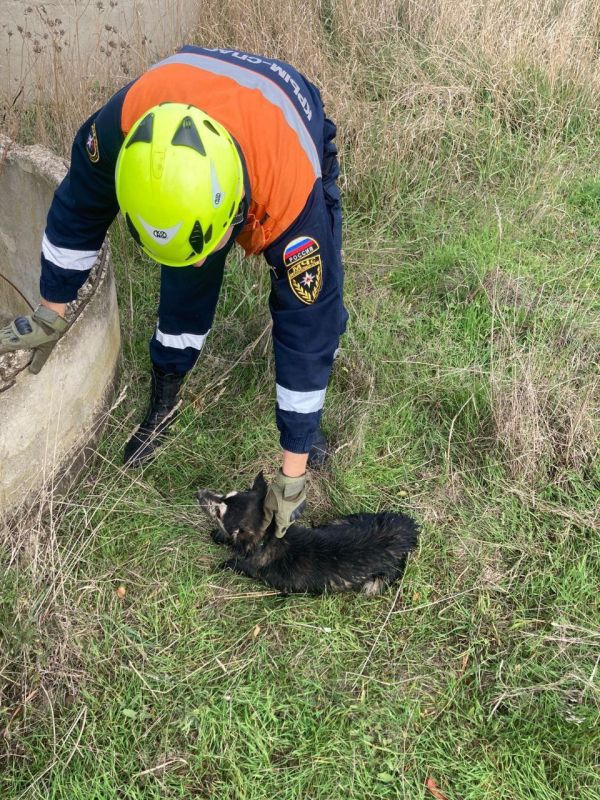 ��������� ��� ������� �������� ������� ��������� �� �������