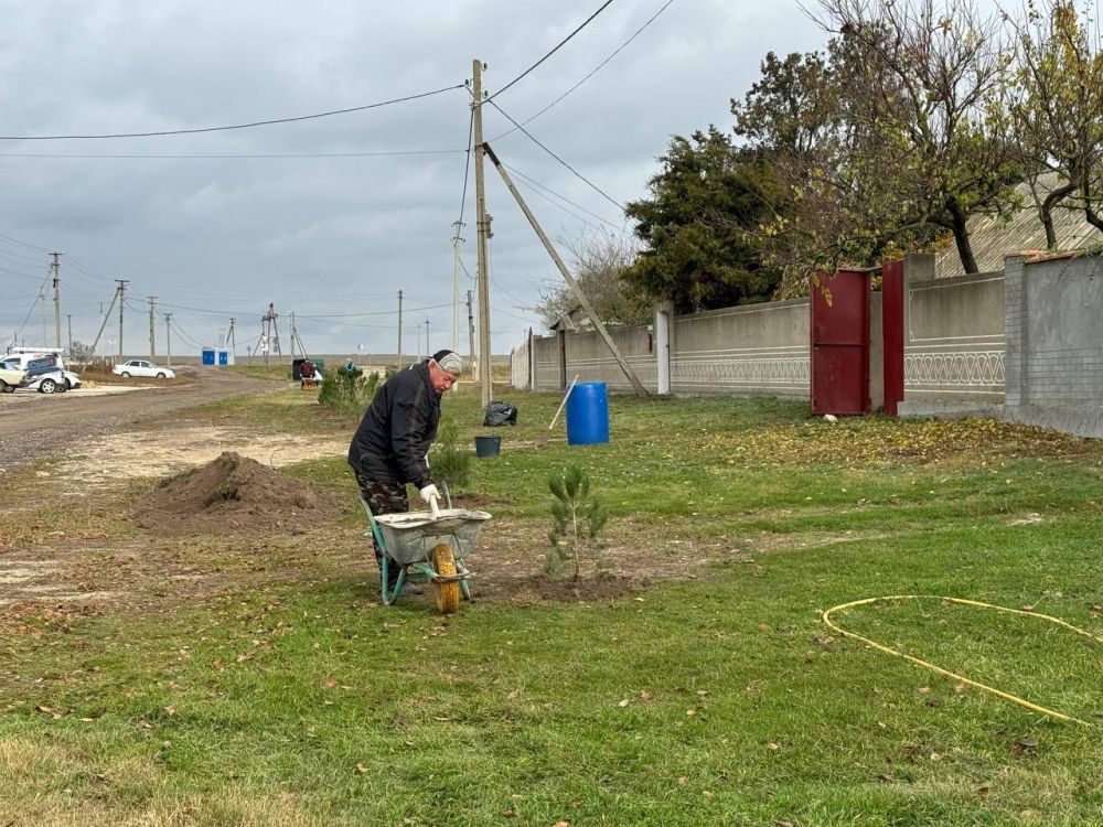 В селе Знаменское высадили более 120 саженцев сосны В селе Знаменское высадили более 120 саженцев сосны