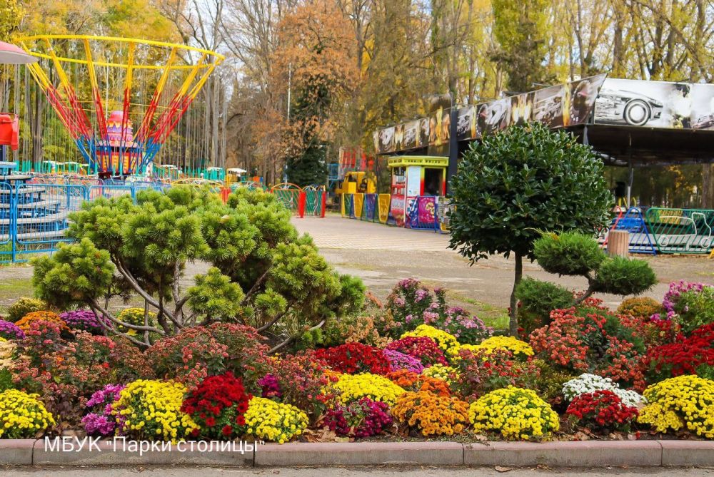 Хризантемы в Детском парке всё ещё радуют посетителей ярким и ароматным цветением Хризантемы в Детском парке всё ещё радуют посетителей ярким и ароматным цветением