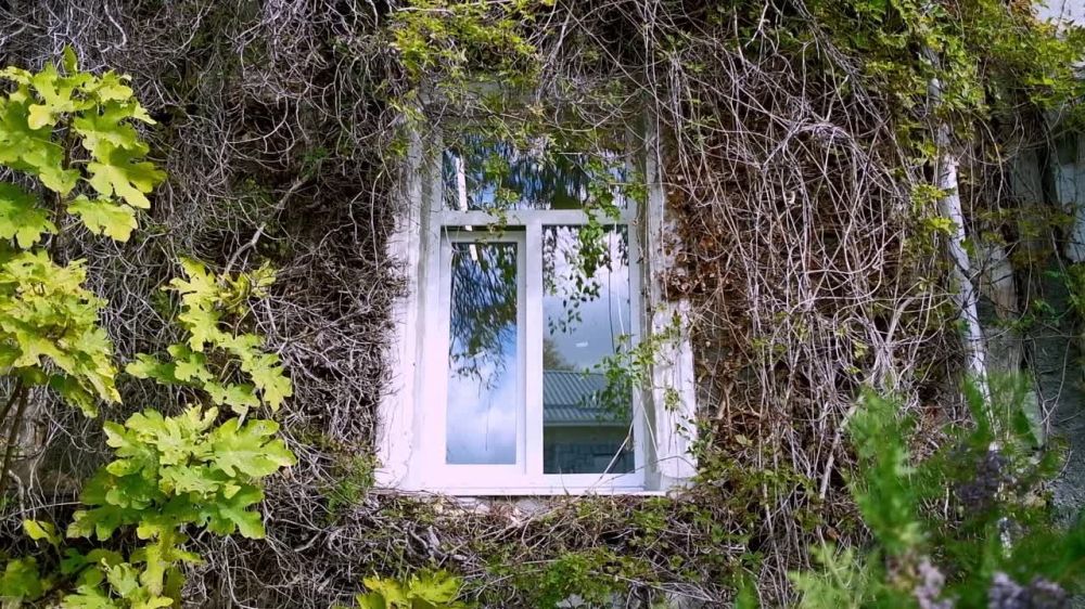 ����� ��������: ��������� ������ ������� ������ � ������� ����������