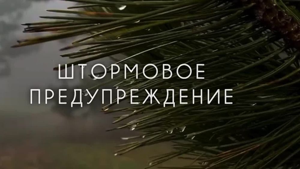 Штормовое предупреждение об опасных гидрометеорологических явлениях по Республике Крым на 21, 23 и 24 ноября 2024 года