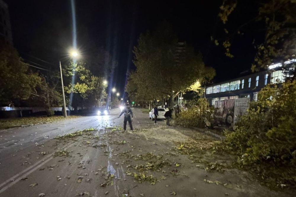 Александр Юрьев: Вчера вечером из-за сильного ветра в районе Дворца спорта упало дерево Александр Юрьев: Вчера вечером из-за сильного ветра в районе Дворца спорта упало дерево
