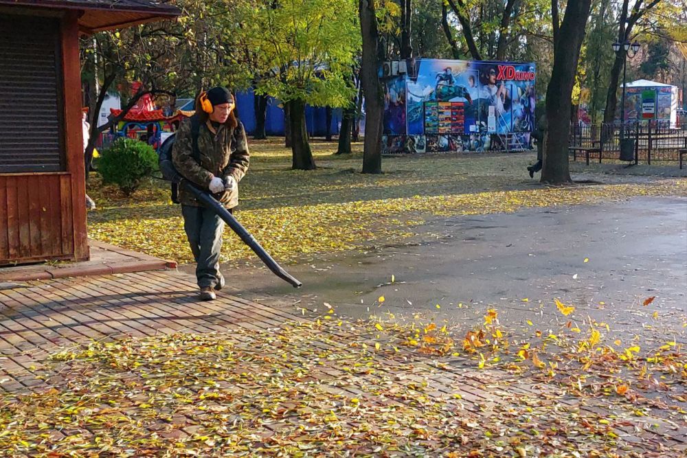 В парках и скверах Симферополя пик осеннего листопада В парках и скверах Симферополя пик осеннего листопада