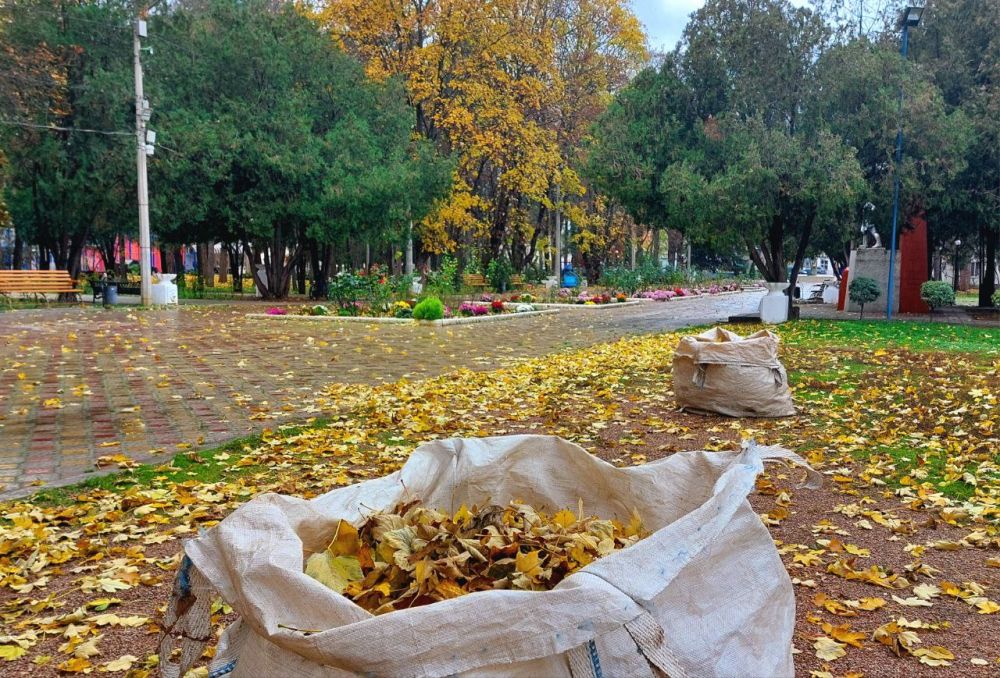 В парках и скверах Симферополя пик осеннего листопада В парках и скверах Симферополя пик осеннего листопада