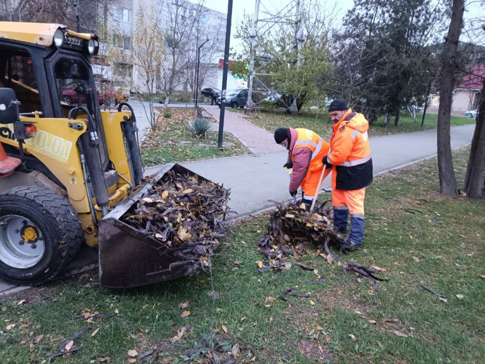 В настоящее время одним из основных направлений работы отдела санитарной очистки МБУ «Город» является сбор и вывоз опавшей листвы на улицах и общественных территориях Симферополя В настоящее время одним из основных направлений работы отдела санитарной очистки МБУ «Город» является сбор и вывоз опавшей листвы на улицах и общественных территориях Симферополя