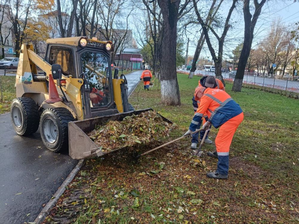 В настоящее время одним из основных направлений работы отдела санитарной очистки МБУ «Город» является сбор и вывоз опавшей листвы на улицах и общественных территориях Симферополя В настоящее время одним из основных направлений работы отдела санитарной очистки МБУ «Город» является сбор и вывоз опавшей листвы на улицах и общественных территориях Симферополя