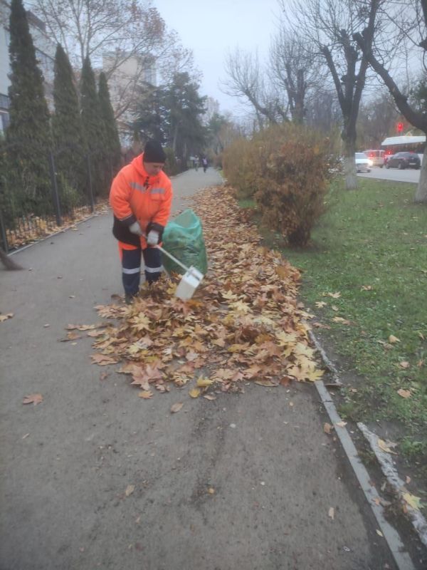 В настоящее время одним из основных направлений работы отдела санитарной очистки МБУ «Город» является сбор и вывоз опавшей листвы на улицах и общественных территориях Симферополя В настоящее время одним из основных направлений работы отдела санитарной очистки МБУ «Город» является сбор и вывоз опавшей листвы на улицах и общественных территориях Симферополя