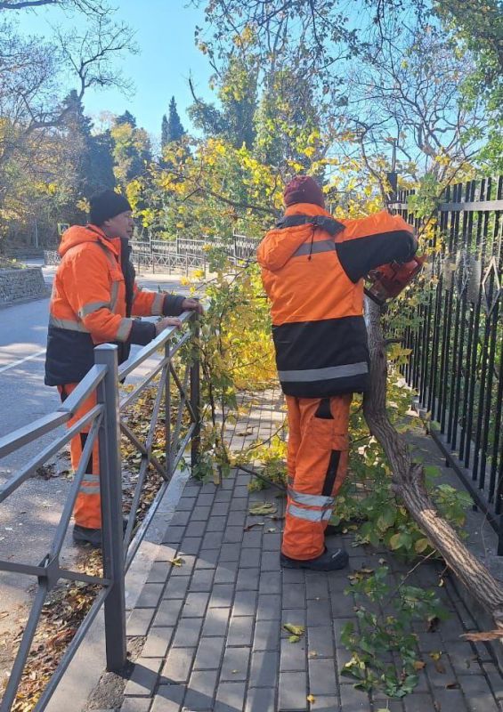 Коммунальные службы города продолжают наводить порядок после непогоды Коммунальные службы города продолжают наводить порядок после непогоды
