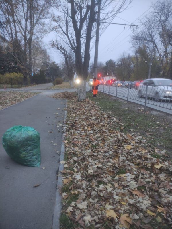 В настоящее время одним из основных направлений работы отдела санитарной очистки МБУ «Город» является сбор и вывоз опавшей листвы на улицах и общественных территориях Симферополя В настоящее время одним из основных направлений работы отдела санитарной очистки МБУ «Город» является сбор и вывоз опавшей листвы на улицах и общественных территориях Симферополя