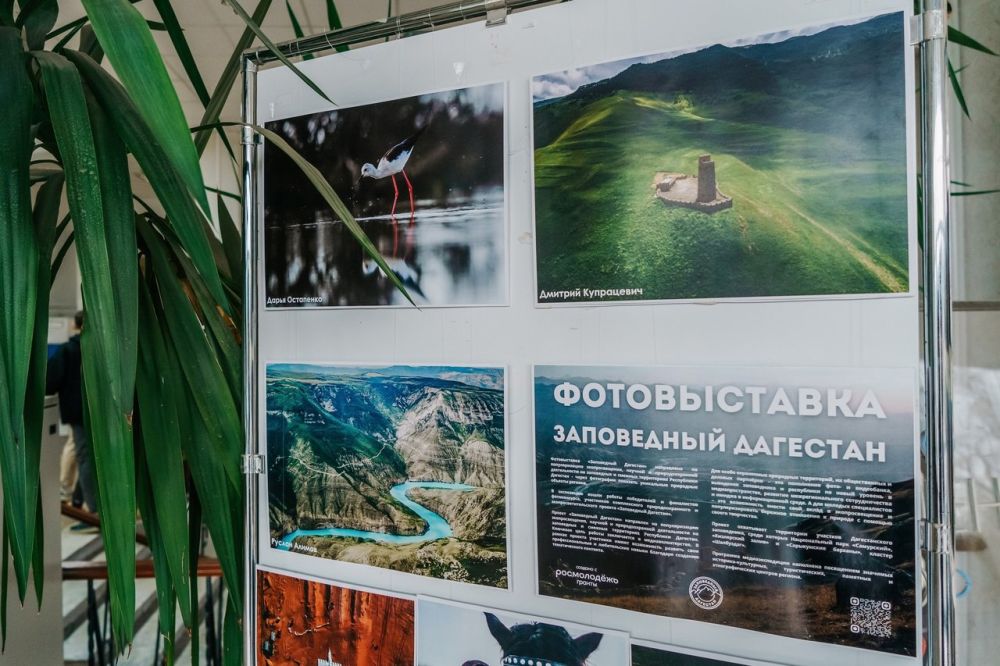 Красоты Дагестана представили на фотовыставке участники Русского географического общества в Крыму Красоты Дагестана представили на фотовыставке участники Русского географического общества в Крыму