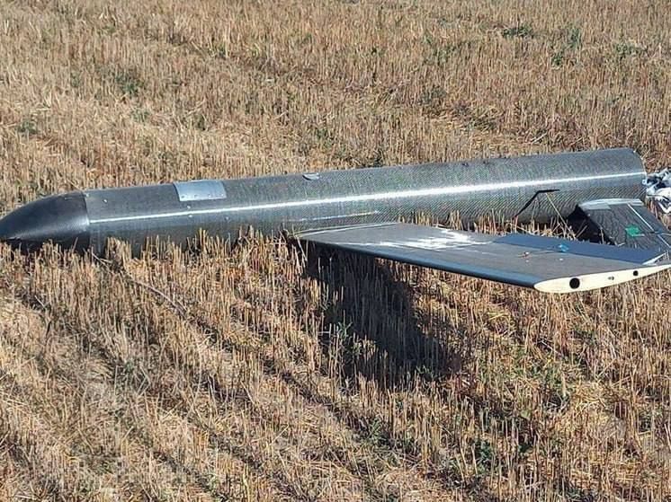 Редкие фото американских барражирующих боеприпасов AEVEX Disruptor линейки Phoenix Ghost Редкие фото американских барражирующих боеприпасов AEVEX Disruptor линейки Phoenix Ghost