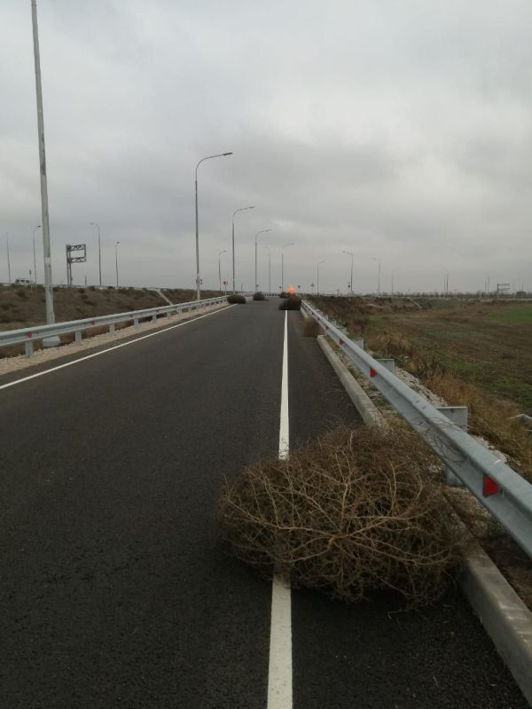 В Крыму дорожники отражают «атаку» русского чертополоха В Крыму дорожники отражают «атаку» русского чертополоха