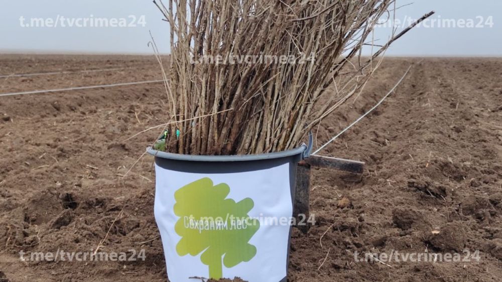 � ������ ������� ��������� ��� � ����� �������� 70-���������� ������ ������