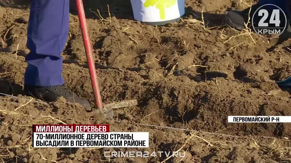 � ����� �������� 70-���������� ������ ������