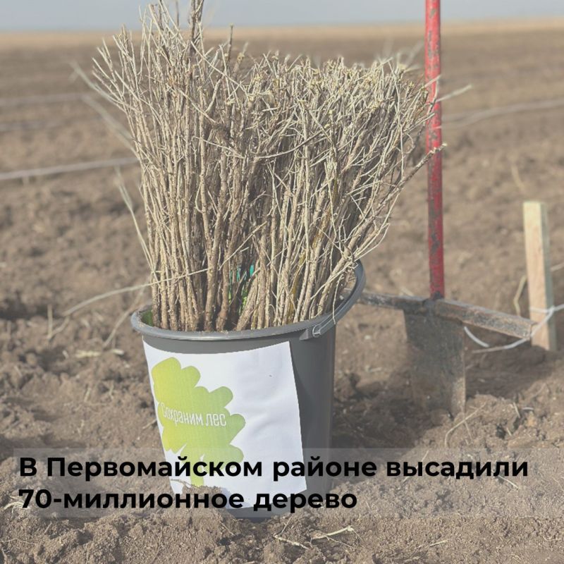 � �� ����� ������������ � �������� ������� ��������