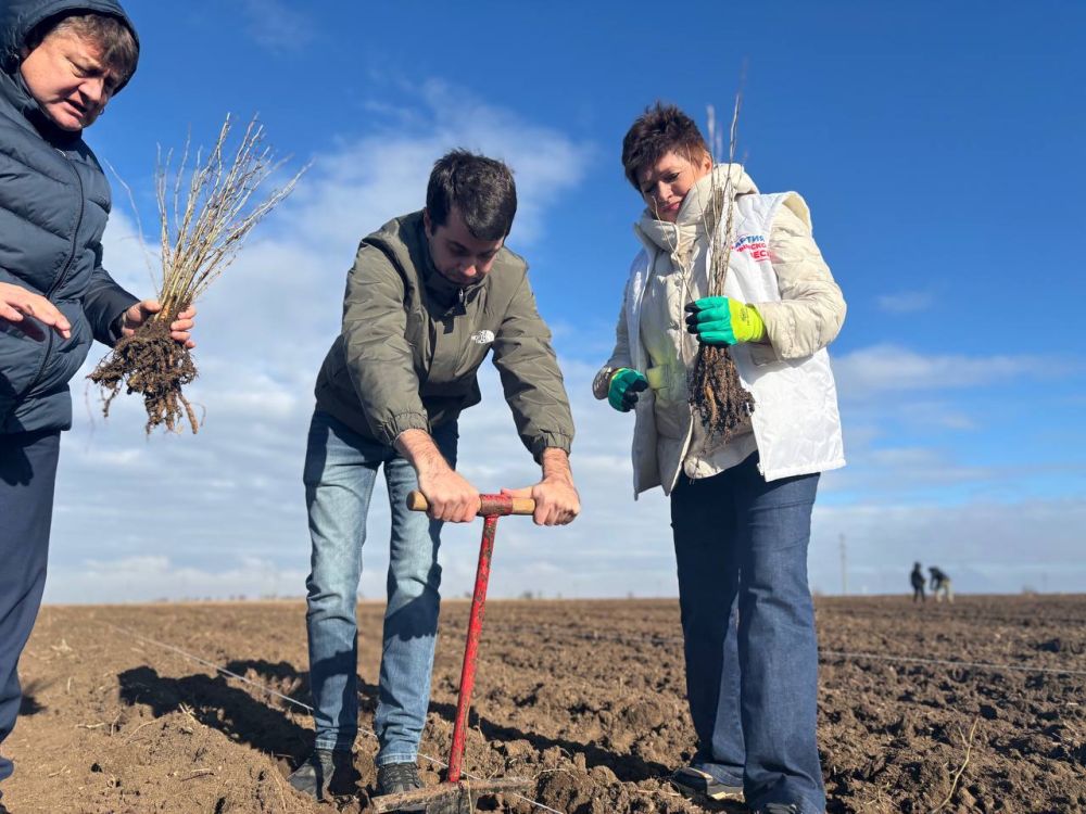 �������� ��������� ���������� ������� ������� �� ������������� ����� ��������� ���, � ������ ������� � ����� �������� 70-���������� ������ ������