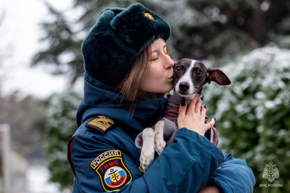 Поздравляем всех любителей животных со Всемирным днём домашних питомцев! Поздравляем всех любителей животных со Всемирным днём домашних питомцев!