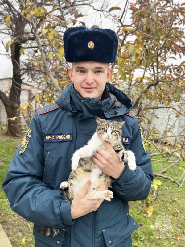 Поздравляем всех любителей животных со Всемирным днём домашних питомцев! Поздравляем всех любителей животных со Всемирным днём домашних питомцев!