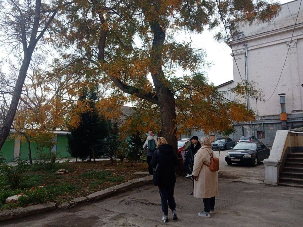 Комиссия Севприроднадзора обследует деревья Комиссия Севприроднадзора обследует деревья