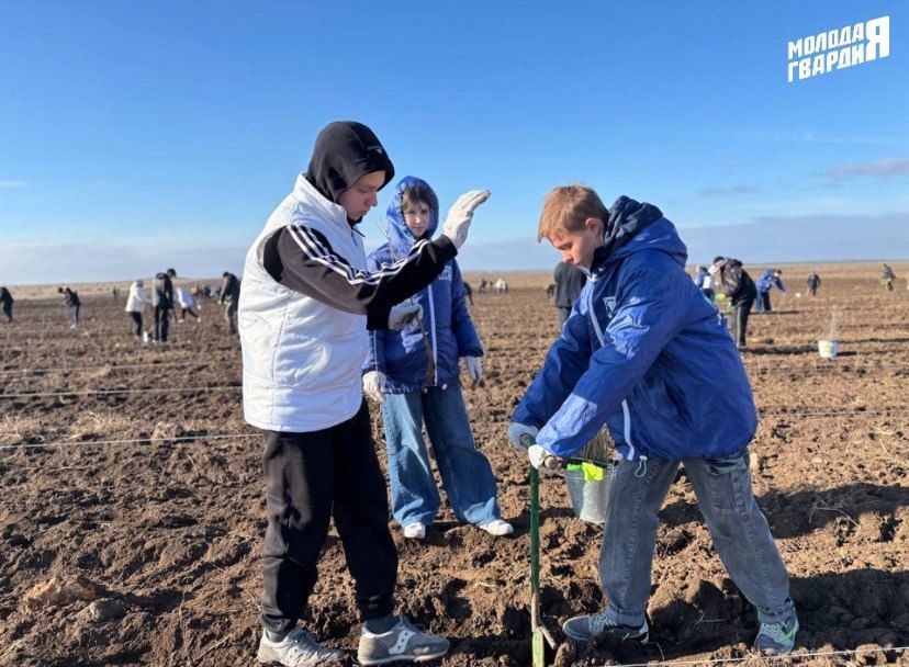 ��������� �������� ������� ����� ������� ������� �� ������������� ����� ��������� ���, � ������ ������� �� ���������� ����������� ���� �������� 70-���������� ������ ������