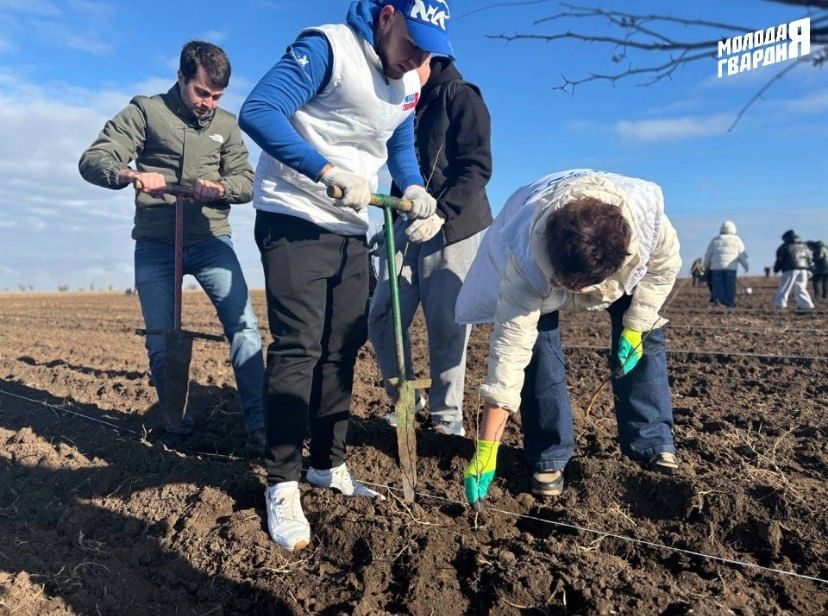 ��������� �������� ������� ����� ������� ������� �� ������������� ����� ��������� ���, � ������ ������� �� ���������� ����������� ���� �������� 70-���������� ������ ������