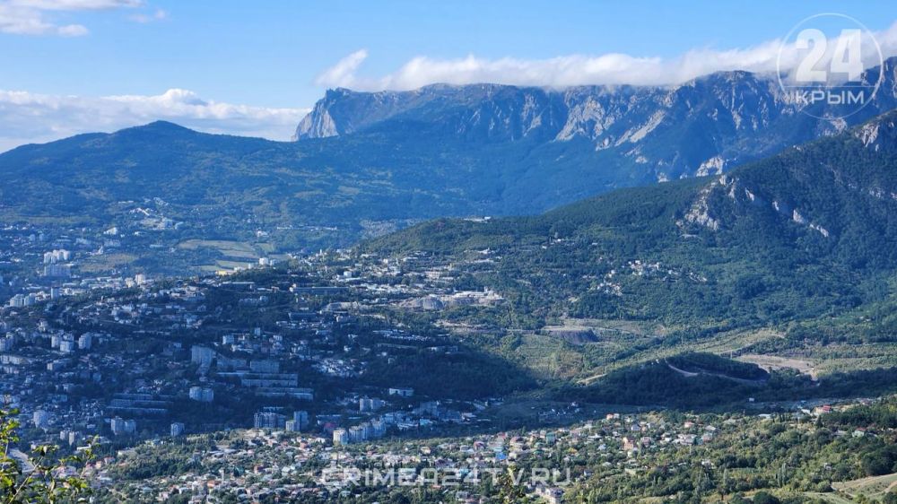 � ������� ���� ��������� ����� � �������� ������������ ������������� ��������������� �������