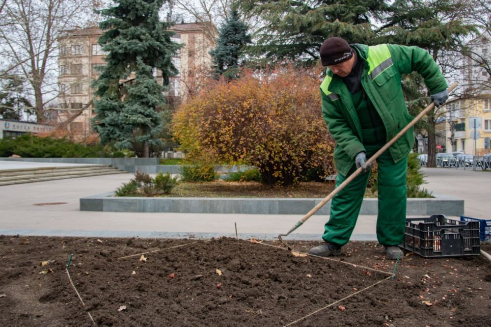 Специалисты МБУ «Горзеленхоз» приступили к весенней высадке цветов Специалисты МБУ «Горзеленхоз» приступили к весенней высадке цветов