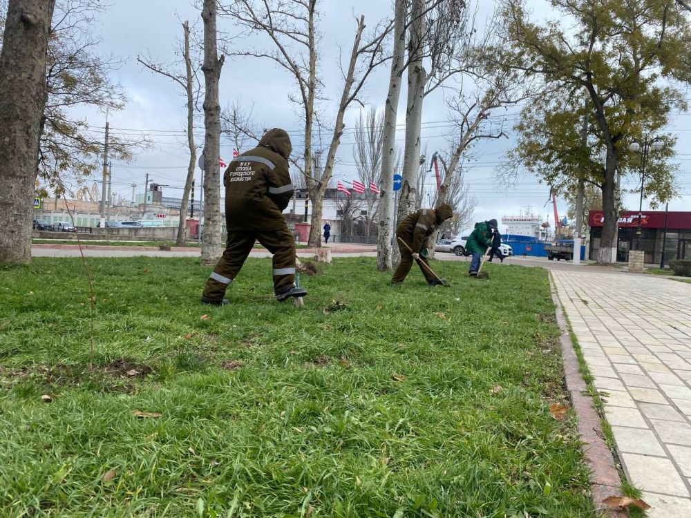 #городские_новости. #озеленение #городские_новости. #озеленение