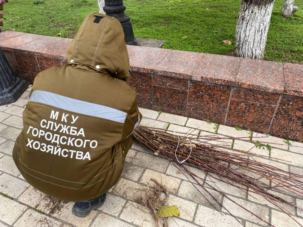 #городские_новости. #озеленение #городские_новости. #озеленение