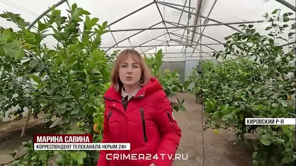 �������� ������� ���������� � ����� �������