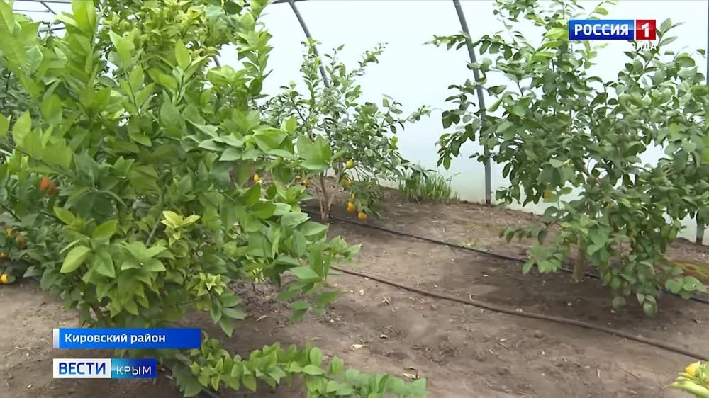 � ��������� ������ ������� ������ ���������� ���������� ����� � ���� �����