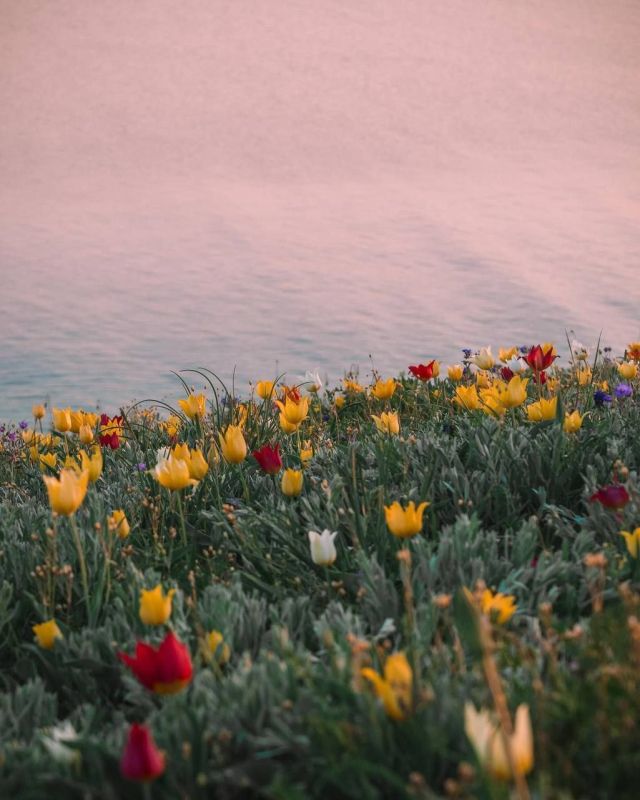 �������� � ����� ������ ������ ������ ����, � ��� ������ �� ���, ������������ � ����� ������ � �����, ������� �� ������ �������, �������, ��������, ���� ���������� �������