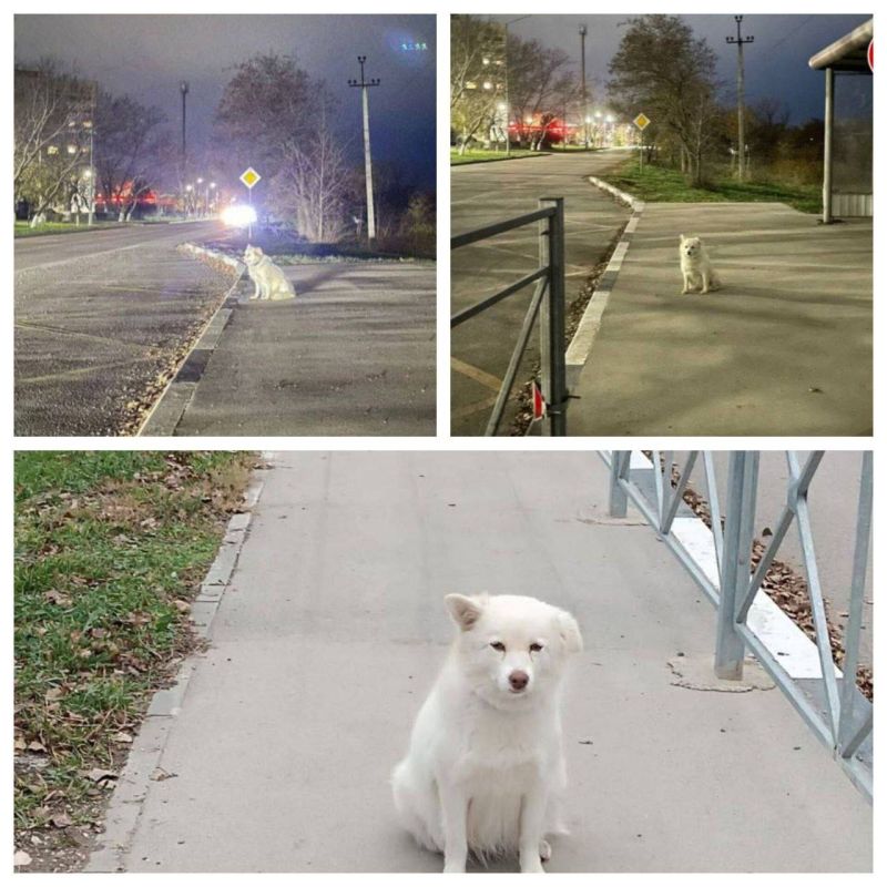 � ������� ������ ���� � ���� ������������� � ����������� ������