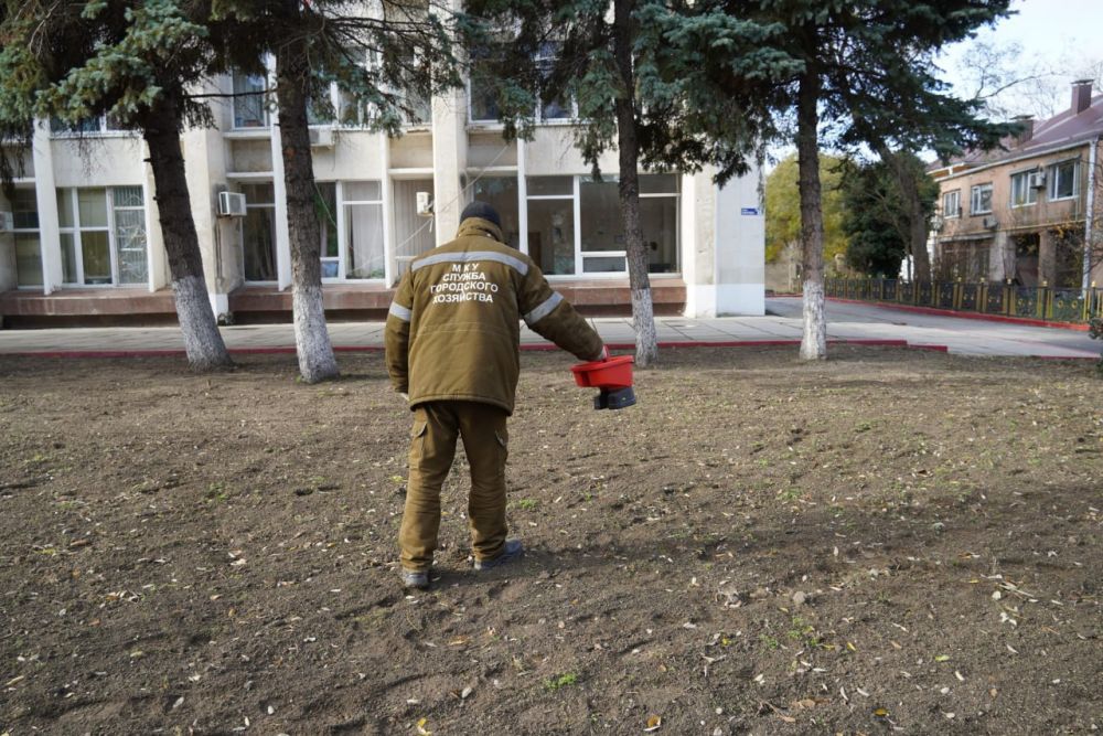#озеленение. У здания администрации выполняется посев зеленого газона #озеленение. У здания администрации выполняется посев зеленого газона