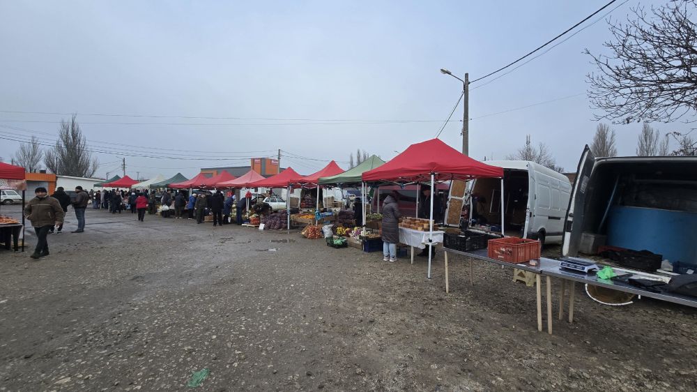 #городские_новости. #ярмарка #городские_новости. #ярмарка