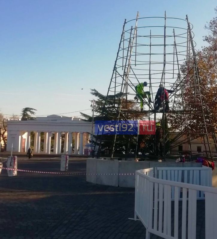 На площади Нахимова начался монтаж главной городской ёлки На площади Нахимова начался монтаж главной городской ёлки