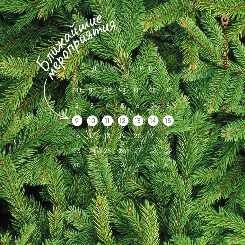 ��������� �����������: 9 � 15 �������