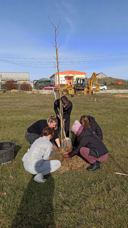 В рамках муниципальной программы «Озеленение и охрана окружающей среды на территории Симферопольского района» был высажен сквер (более 150 древесных и кустарниковых растений) в селе Водное в качестве памяти, как об одном из... В рамках муниципальной программы «Озеленение и охрана окружающей среды на территории Симферопольского района» был высажен сквер (более 150 древесных и кустарниковых растений) в селе Водное в качестве памяти, как об одном из...