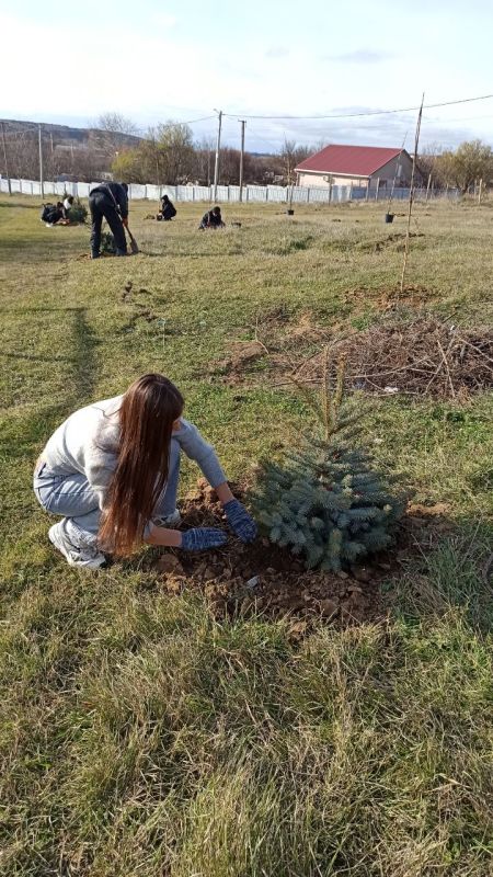 В рамках муниципальной программы «Озеленение и охрана окружающей среды на территории Симферопольского района» был высажен сквер (более 150 древесных и кустарниковых растений) в селе Водное в качестве памяти, как об одном из... В рамках муниципальной программы «Озеленение и охрана окружающей среды на территории Симферопольского района» был высажен сквер (более 150 древесных и кустарниковых растений) в селе Водное в качестве памяти, как об одном из...