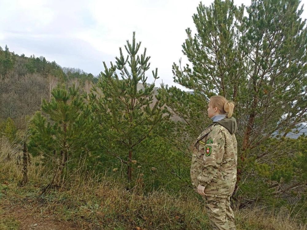 Ольга Славгородская: Я рассказывала вам, что в предновогодний период усилена охрана насаждений от незаконной рубки Ольга Славгородская: Я рассказывала вам, что в предновогодний период усилена охрана насаждений от незаконной рубки