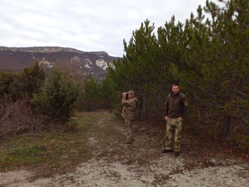 Ольга Славгородская: Я рассказывала вам, что в предновогодний период усилена охрана насаждений от незаконной рубки Ольга Славгородская: Я рассказывала вам, что в предновогодний период усилена охрана насаждений от незаконной рубки